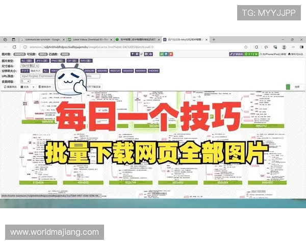 最新PA电子下载工具推荐与实用技巧助你轻松实现电子资料下载